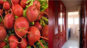 Radishes vs. Sarah Richardson Benjamin Moore Burnt Peanut Red