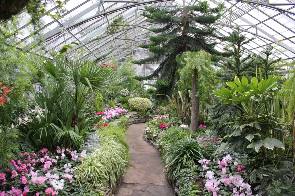 Allen Gardens Conservatory 