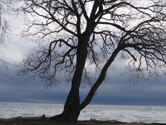 Lake Ontario Toronto